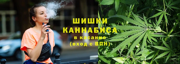 гидропоника Белокуриха
