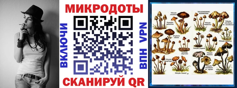 Галлюциногенные грибы Cubensis  Луховицы 
